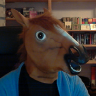 attention_horse