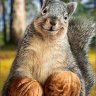 OddSquirrel