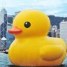 big duck 9