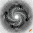 ZogD
