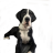C3ns1o
