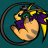 TheElectricRaichu